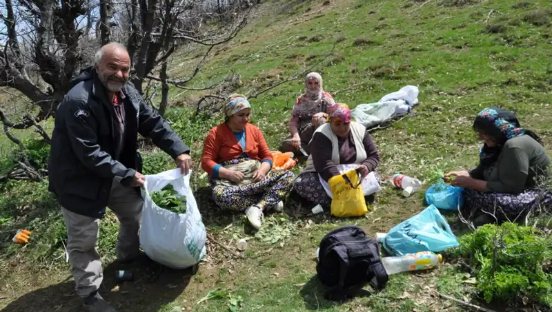 Dağların Zirvesinden Yüzde Yüz Yerel Kazanç: Doğanın İhtiyaç Sahiplerine Sunumu