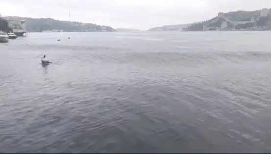 İstanbul'u Sallayan Deprem:Nedenleri ve Etkileri Üzerine Derinlemesine İnceleme