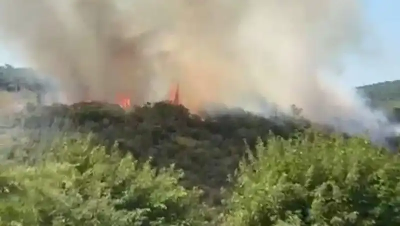 İstanbul Orman Yangını: Şehirdeki Vatandaşların Tahliyesi Başladı