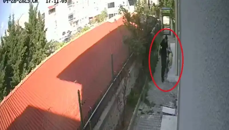 Veteriner Doktorun Şoke Eden İtirafı: Sahiplendiği Köpekleri Evde Parçaladı!