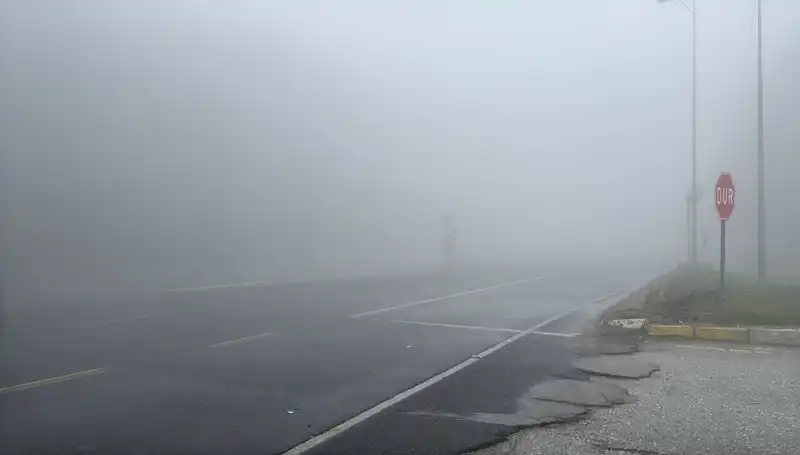 Bolu Dağı'nda Gizemli Sis, Görüş Mesafesini Neden Kısıtlıyor?