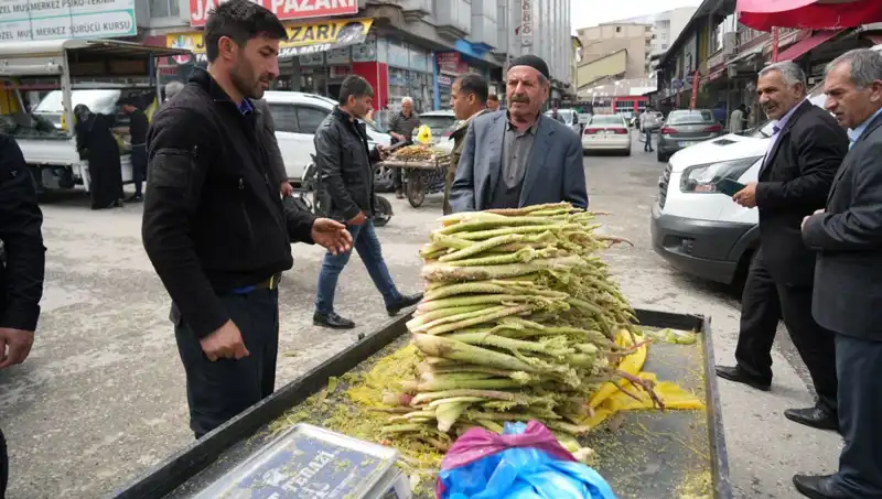 Şeker ve Mide Hastalıklarına İyi Geldiği İddia Edilen Dağ Şifası: Şimdi Pazarlarda