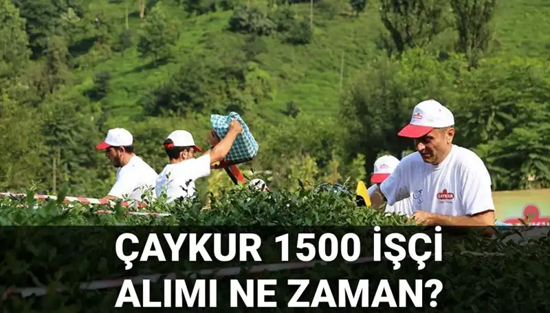 Çaykur İşçi Alımı Başvuru Tarihleri ve Detayları Açıklandı