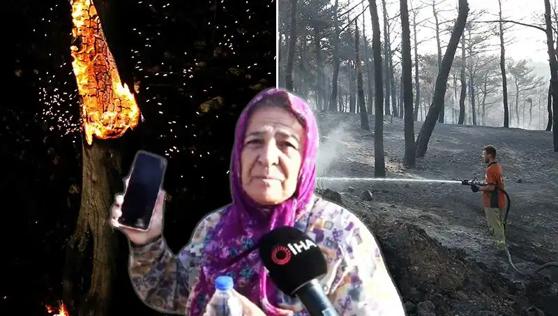 Çanakkale Orman Yangınları Sonunda Kontrol Altına Alındı: Kayıplar Ve Hayatta Kalanlar