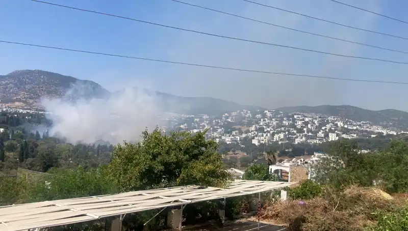 Muğla'da Orman Yangınları Kontrol Altına Alındı: Son Durum Nedir?