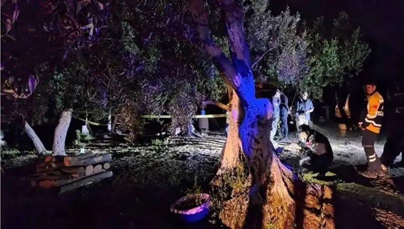 Çiftlikte Baltalı Vahşet: Olayın Ardındaki Gerçekler Ortaya Çıkıyor