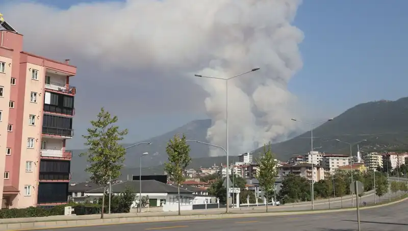 Denizli’deki Orman Yangını: Şüpheli Gözaltında, Olayın Perde Arkası Ne?