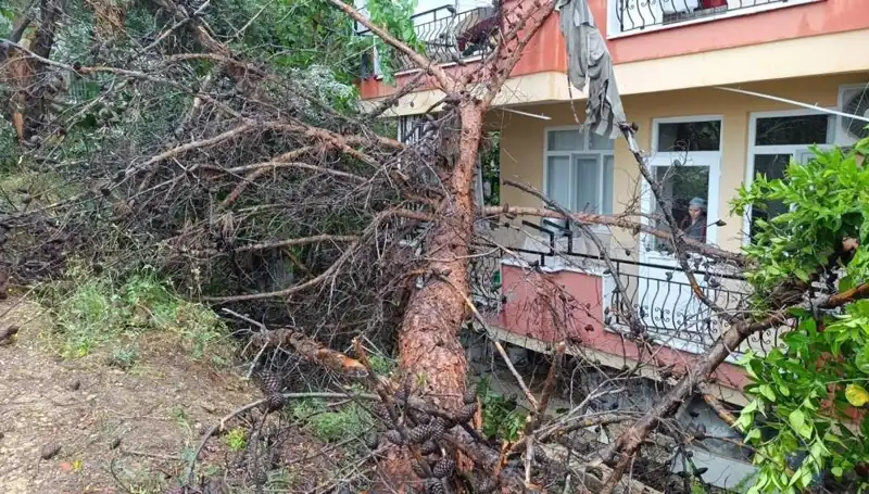 Dev Yağmur, Eski Bina ile Şehrin Kalbinde Yıldırım Gibi Açıkladı