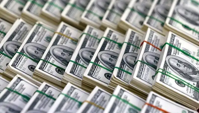 Dolar İçin Hızla Yükseliş Uyarısı: Ekonomi Uzmanları Kritik Değerlendirmelerde Bulundu