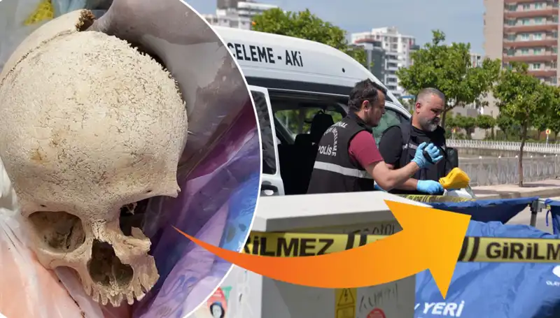 ** Sitenin Çöpünden Çıkan Kafatası: Gizemli Olayda Uzman Doktor Gözaltına Alındı!**