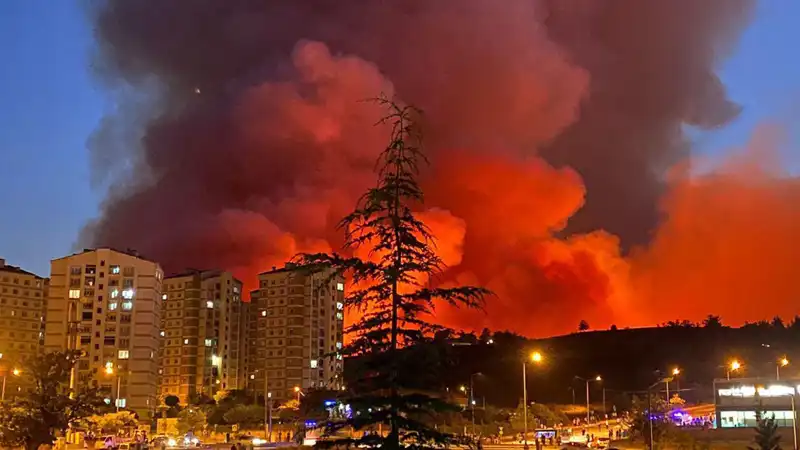 Bursa’da Yangınlar Kenti Sarmaladı: Nedenleri ve Sonuçları Üzerine Kapsamlı Değerlendirme